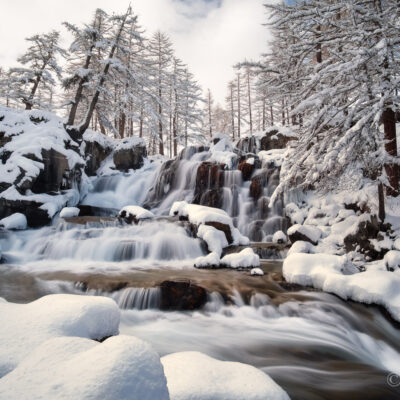 Douce Clarée hivernale