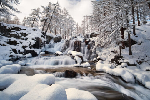 Douce Clarée hivernale