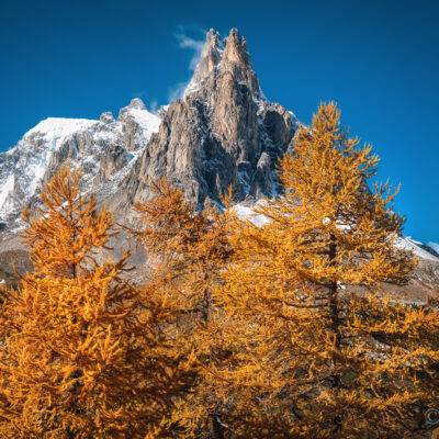 Automne doré en Haute Clarée