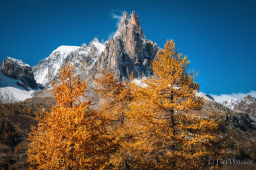 Automne doré en Haute Clarée