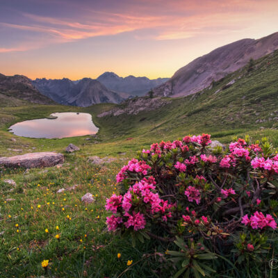 Vision romantique