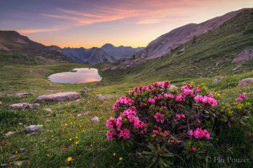 Vision romantique