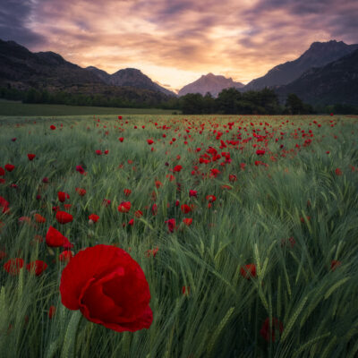 Poésie des Ecrins