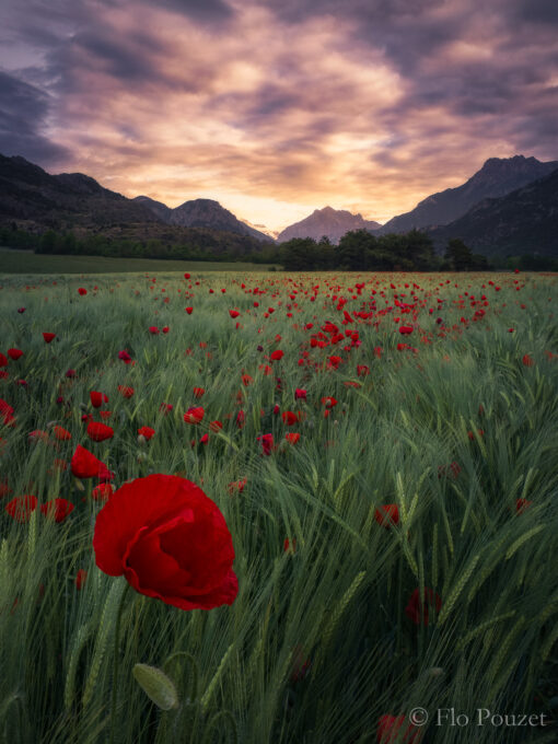 Poésie des Ecrins