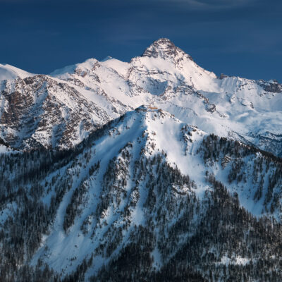 Majesté blanche