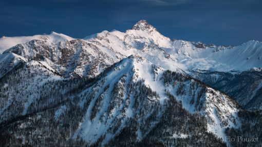 Majesté blanche