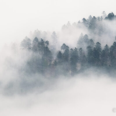 Impressionnisme brumeux 1