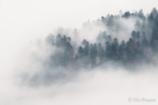Impressionnisme brumeux 1